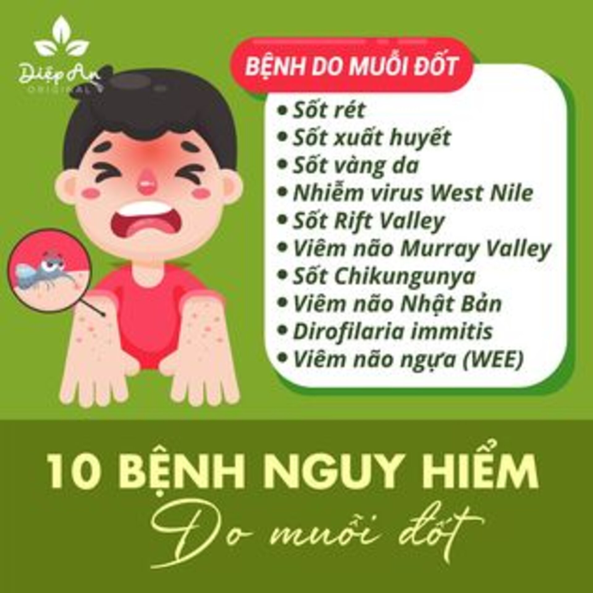 10 căn bệnh do muỗi gây ra