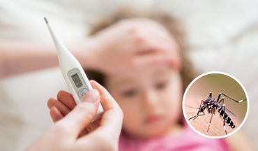 Triệu chứng khởi phát của sốt xuất huyết là sốt cao đột ngột