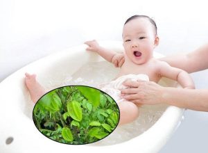 tắm lá khế cho trẻ sơ sinh