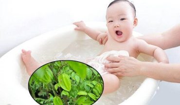 tắm lá khế cho trẻ sơ sinh